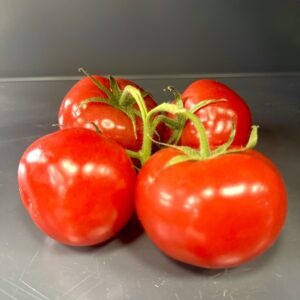 fresh tomatoes
